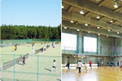 Sports Facilities