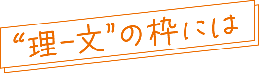 理文の枠には
