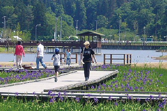 柏崎・夢の森公園