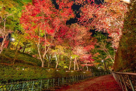 松雲山荘の紅葉