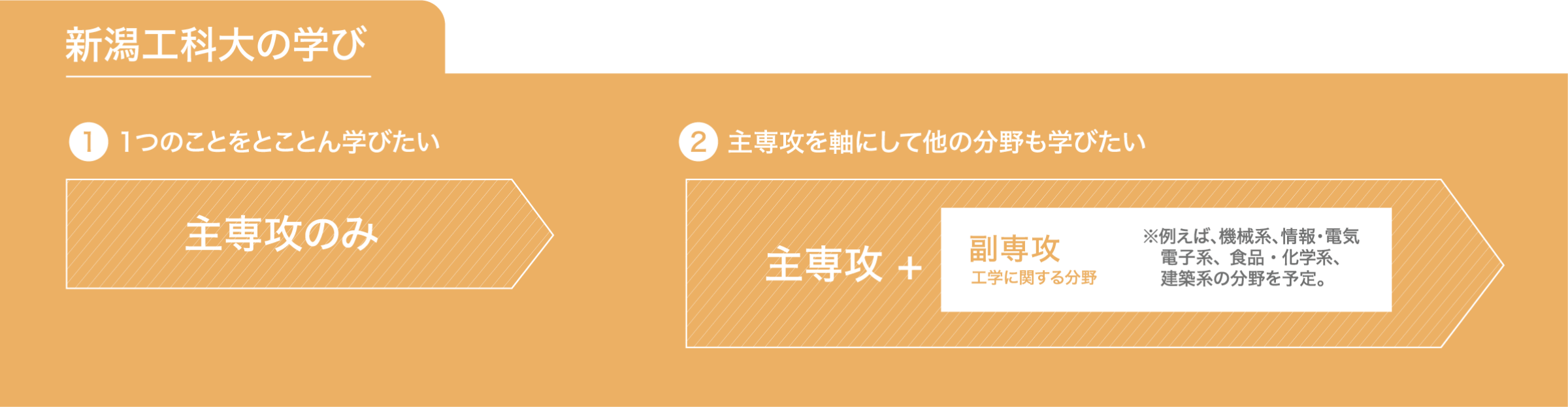 副専攻制度